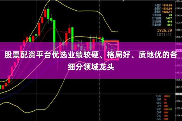 股票配资平台优选业绩较硬、格局好、质地优的各细分领域龙头